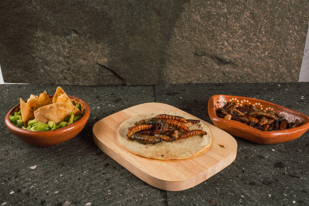 ruta gastronomica mexico
