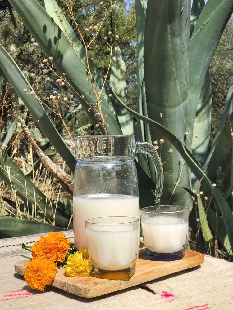 ruta gastronomica mexico
