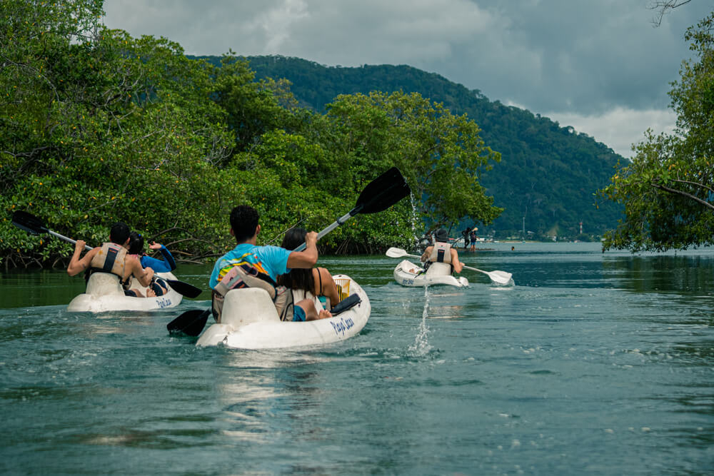 A group kayaks through mangroves on their adventure in Costa Rica