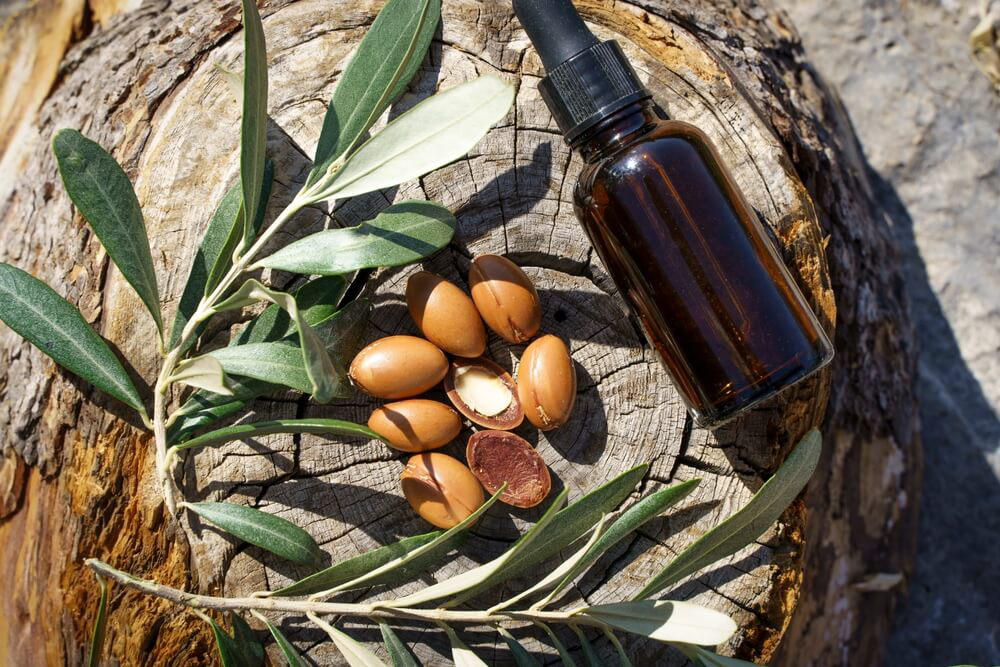 After beach hair care: A leaf with argan seeds and a bottle of oil