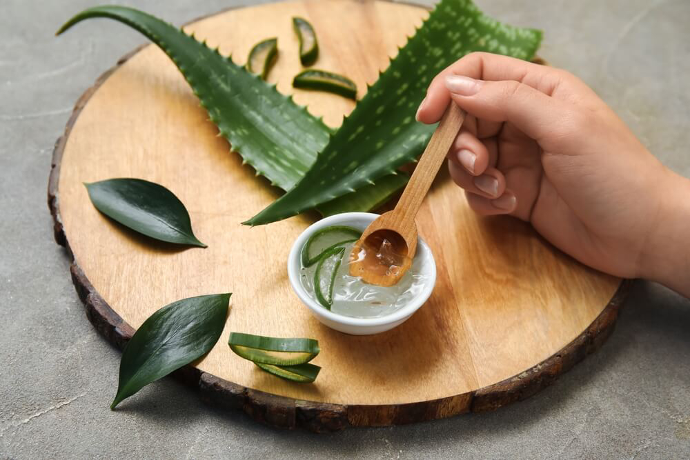 Aloe vera from the Canary Islands: A female hand dips a wooden spoon into a small bowl of aloe vera gel
