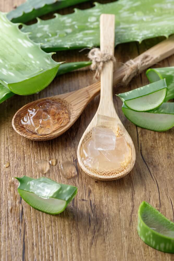 Holzlöffel mit Aloe Vera-Würfeln umgeben von Blättern.