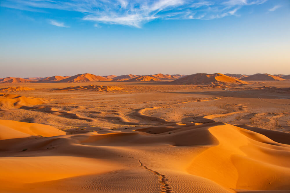 Desert dunes bathed in golden light