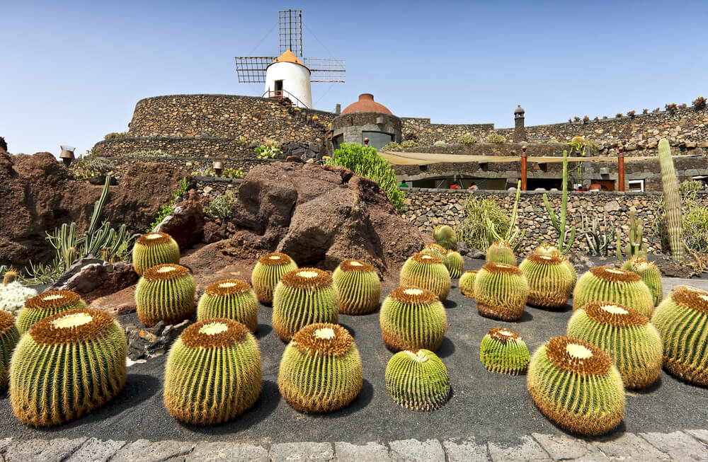 jardin de cactus cesar manrique
