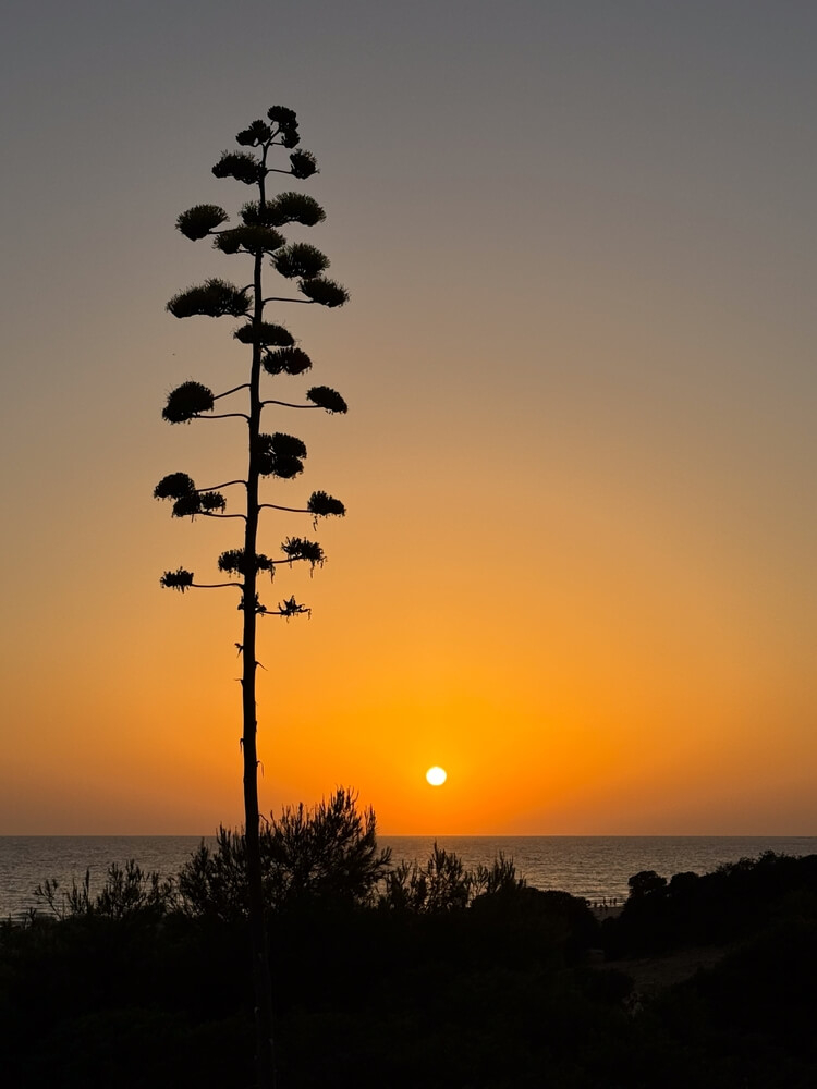 las mejores playas de españa