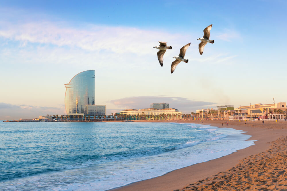 Barceloneta Beach: A view of the golden sand beach and the coastline of the Barceloneta, Barcelona