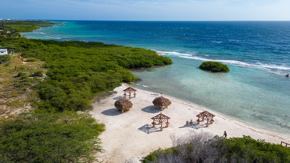 The best beach in Aruba for snorkeling is Mangel Halto
