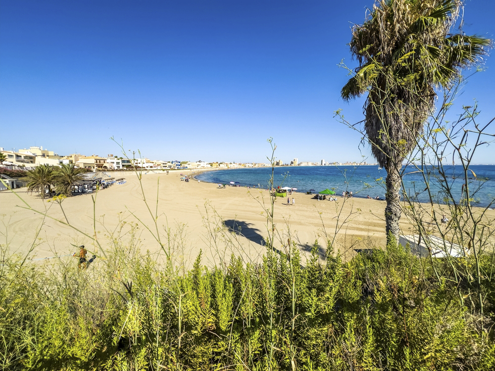 Best beaches in Murcia: a wide curving beach backed by low buildings with a palm tree in front