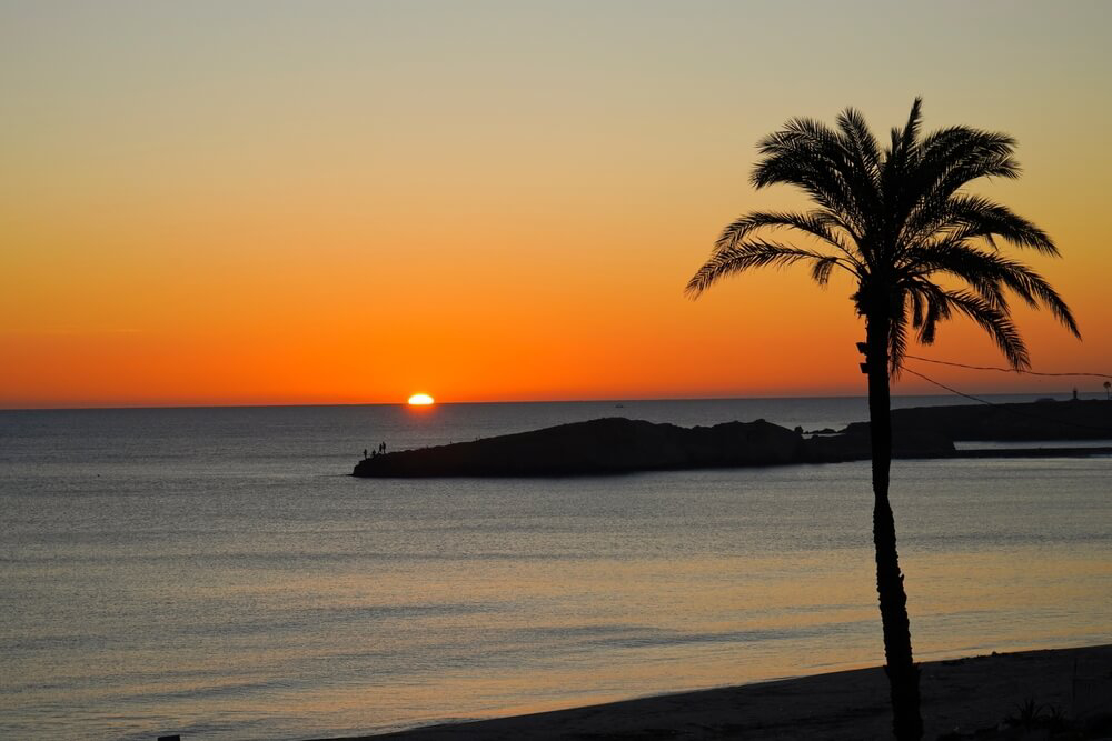 Best beaches in Tunisia: A palm tree silhouetted against Monastir beach