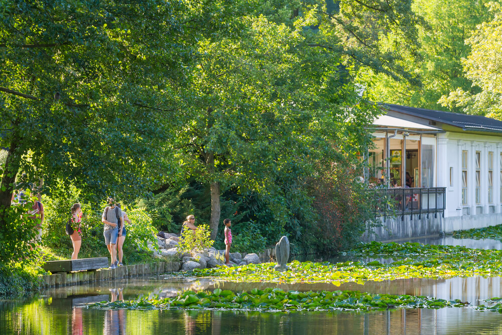 Families walk by a tree-lined, sun dappled lake in Ljubljana’s Tivoli Park