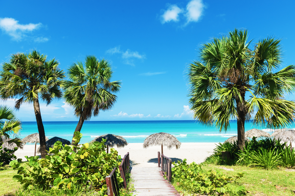 Best time to visit the Caribbean: Paper white beach with green tropical vegetation and boardwalk