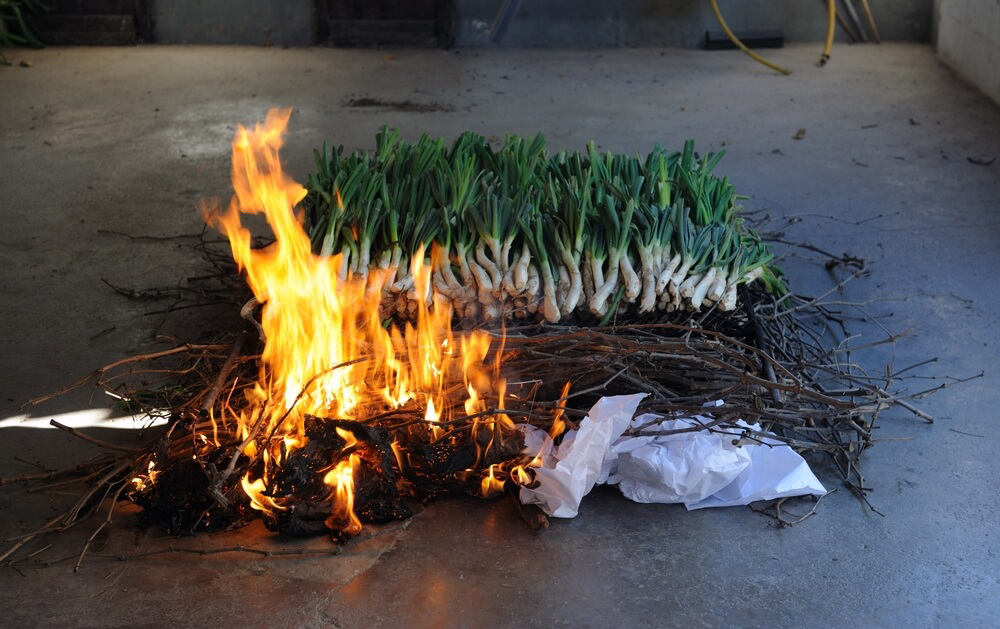 calçotada barcelona