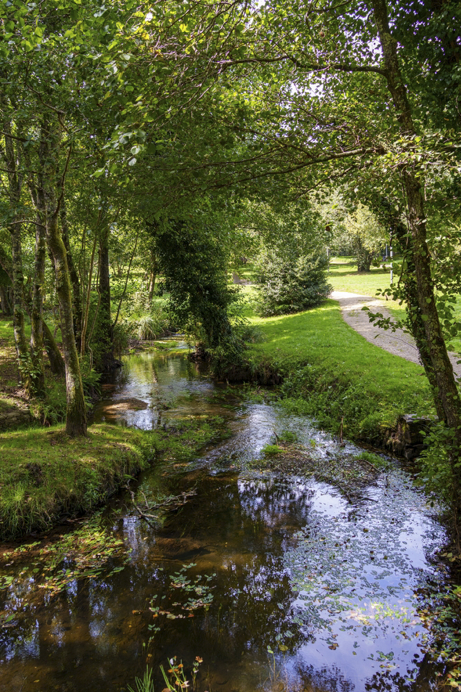 A stream runs through verdant woodland, bordered by a path