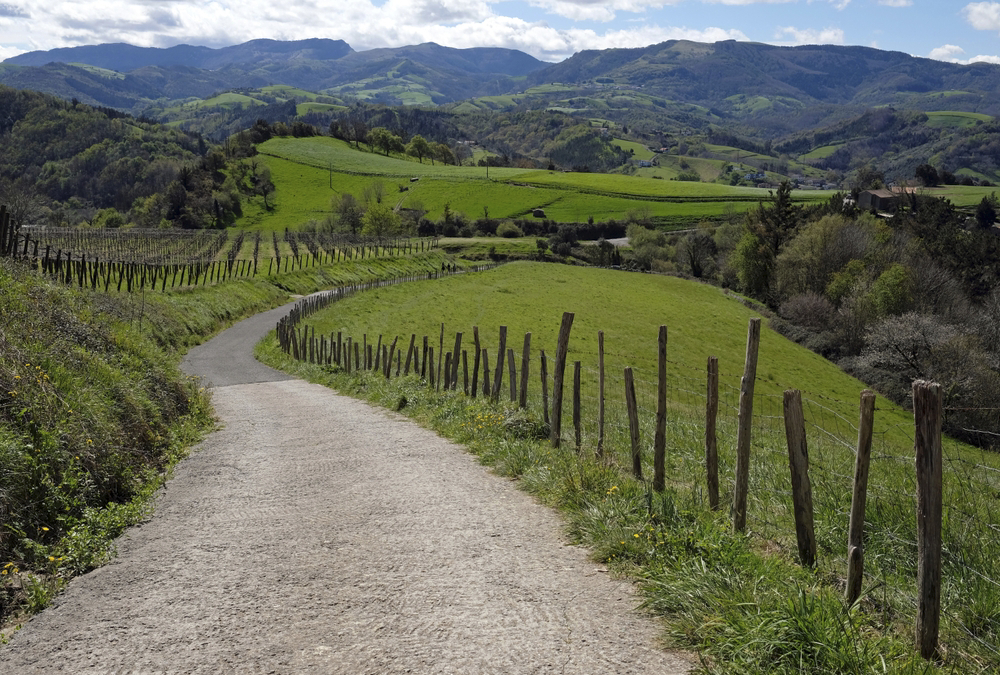 Camino de Santiago routes: a path leads through lush, rolling hills towards green mountains