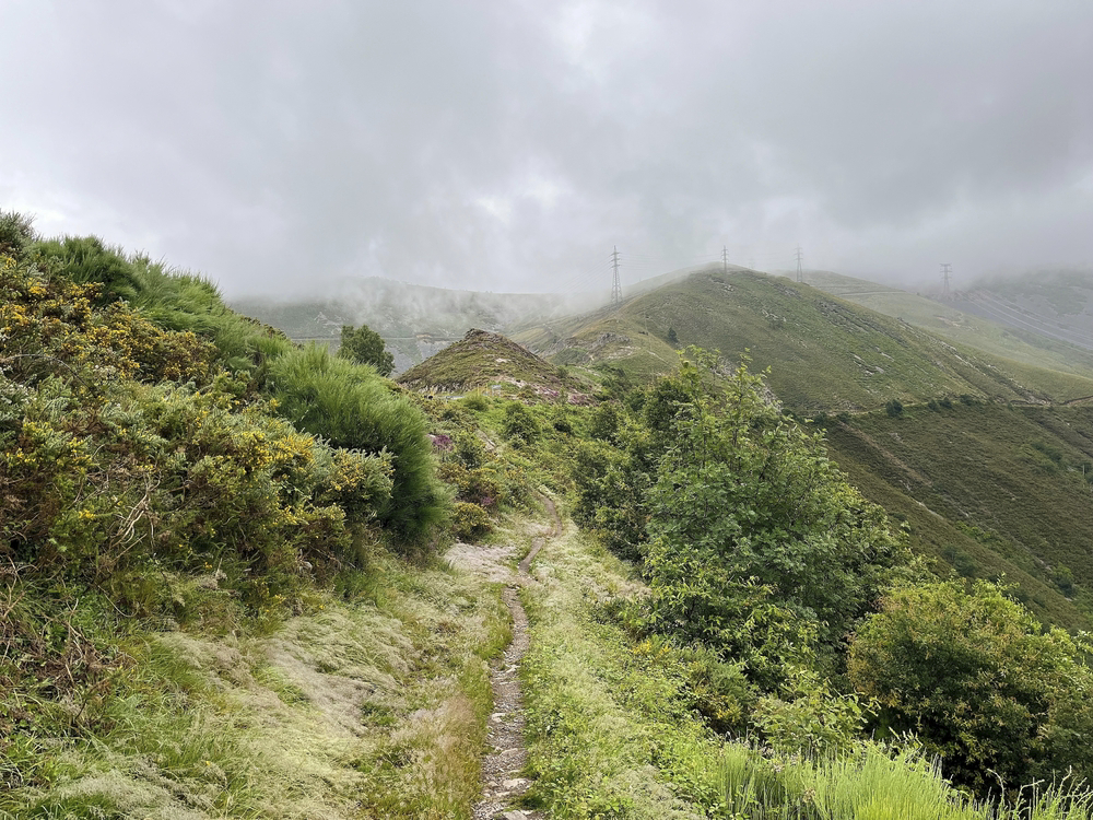 A rough path heads over steep, rugged hills shrouded in mist 