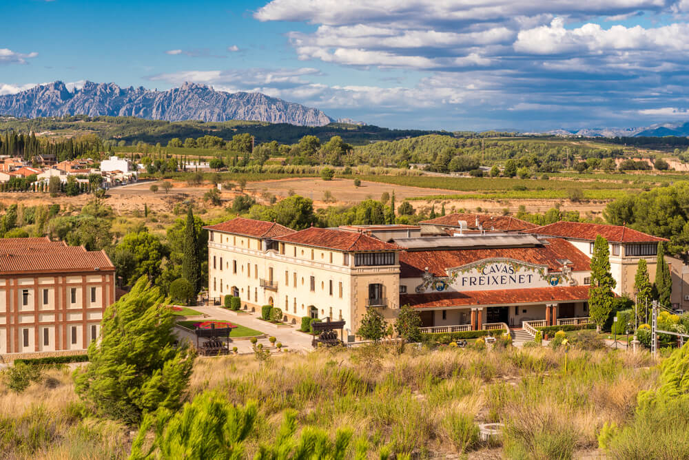 Freixenet: A view of the winery from a distance, surrounded by vines