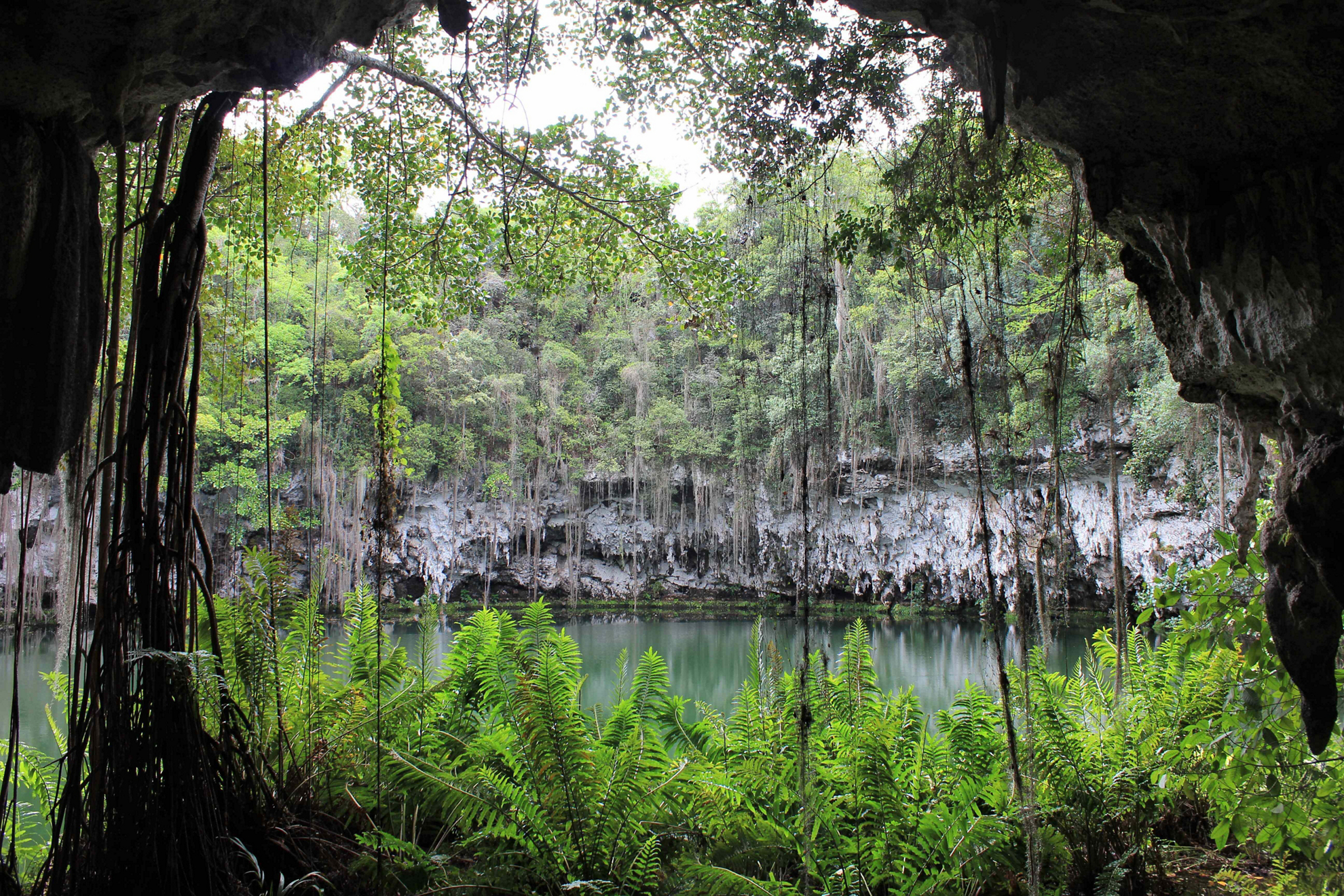 cenote punta cana 