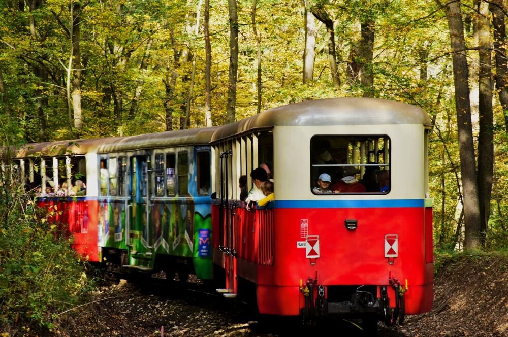 Young ones enjoying a ride through the woods on Budapest Children's Railway