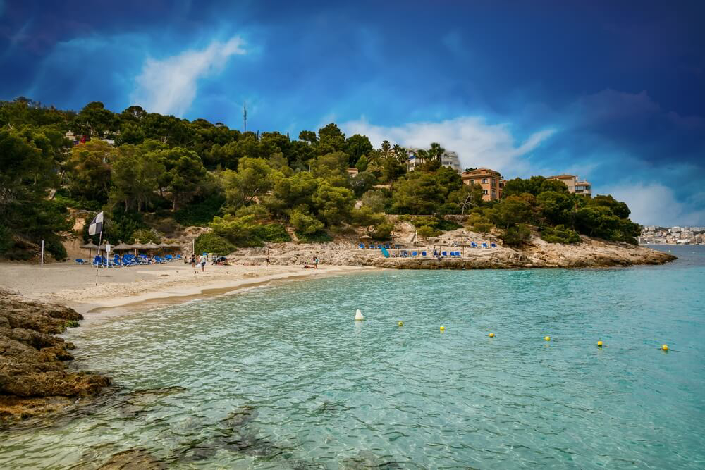 A sandy cove backed by pine trees sits before a turquoise sea
