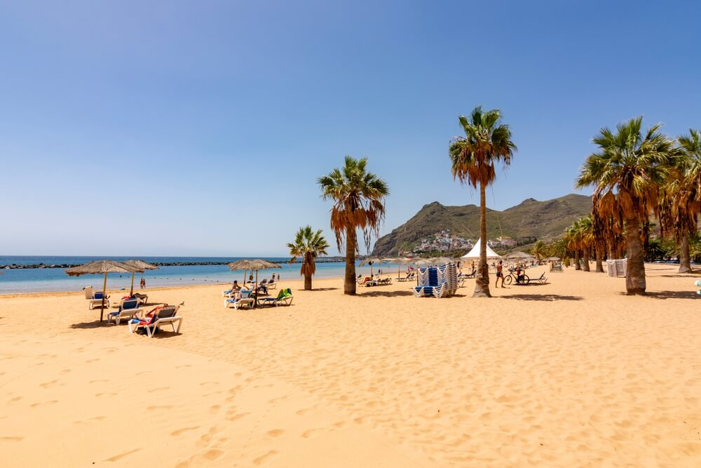 A wide golden beach lined with palm trees and backed by bare hills