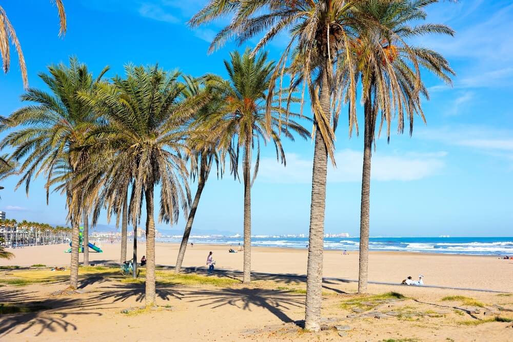 Palm trees at the back of a wide sandy beach