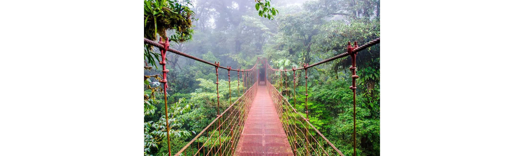 cosas que ver en costa rica