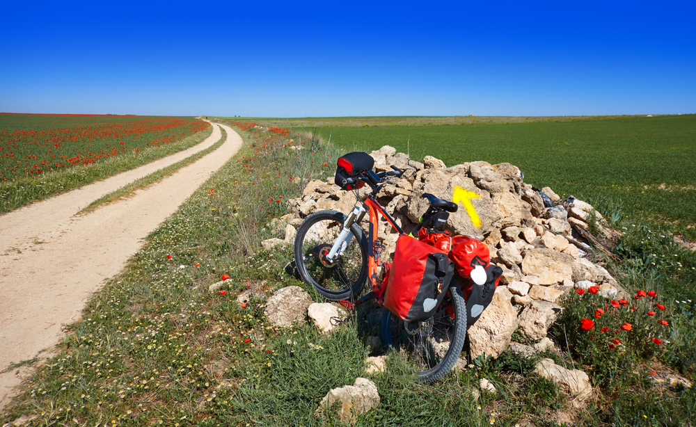 A bike leans against a pile of stones marking a flower-lined path through green plains