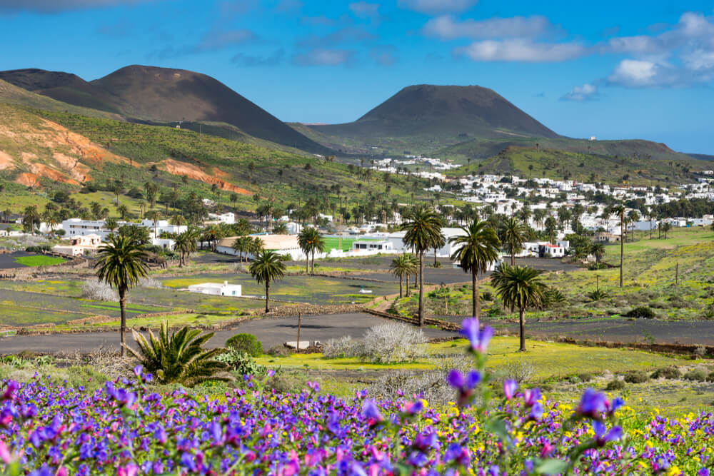 Haría: views of the black volcanic valley dotted with greenery and two volcanos 