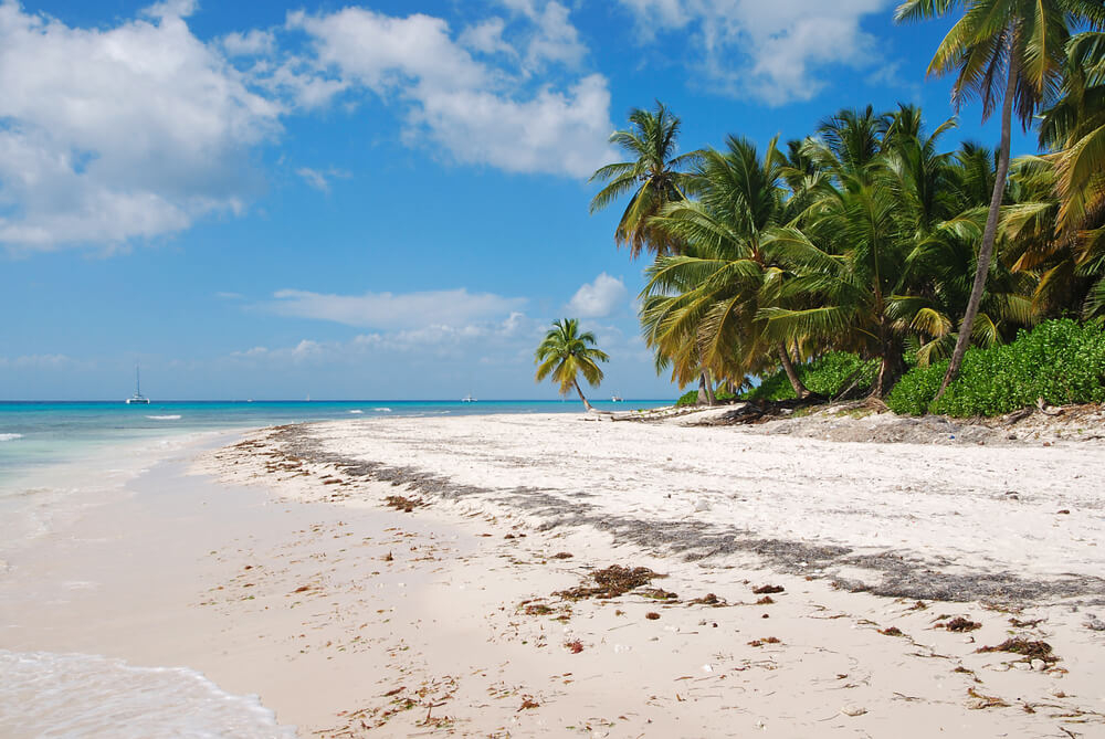 A palm-fringed, white sand beach on Isla Catalinita, Dominican Republic