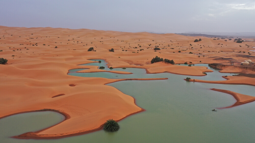 Desert safaris: a lake formed amid rolling dunes sprinkled with sparse vegetation