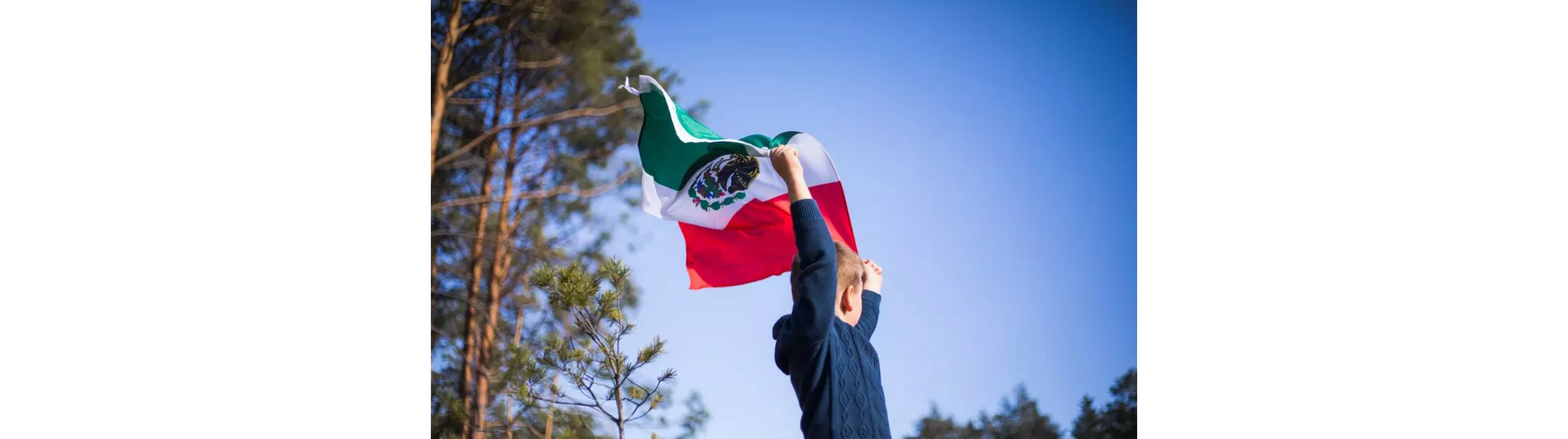 dia de la constitucion mexicana