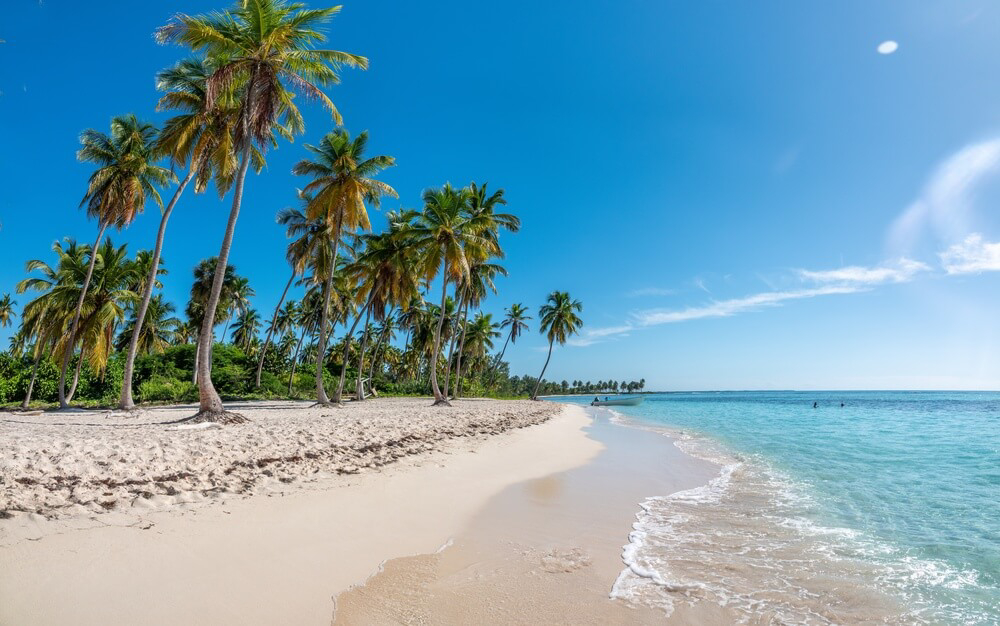 Unberührter Strand auf Isla Saona in der Karibik