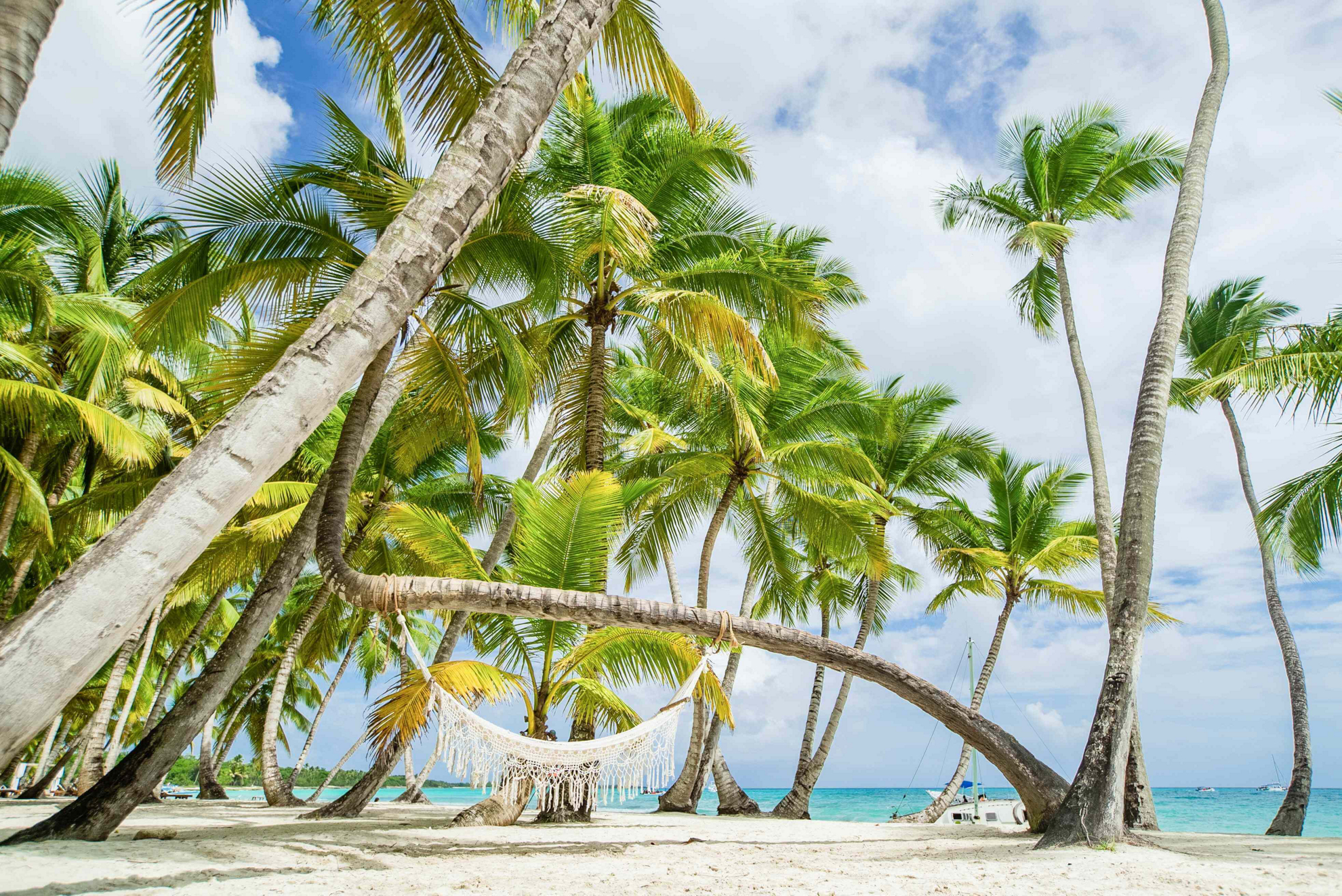 This is your Dominican Republic travel guide