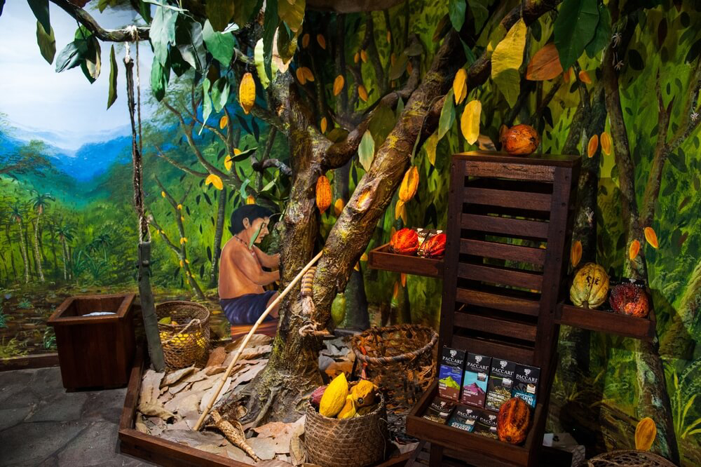 Dominikanische Republik mit Kindern: das Schokoladenmuseum in Santo Domingo