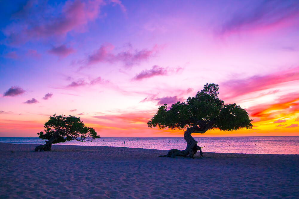 Que faire à Aruba