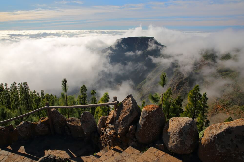 Excursión de Tenerife a La Gomera