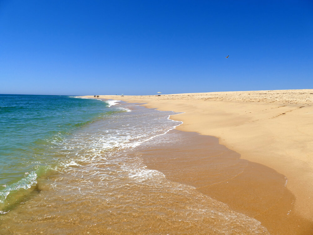 Faro Sehenswürdigkeiten: goldgelber Sandstrand der Ilha Deserta vor der Küste der Stadt.