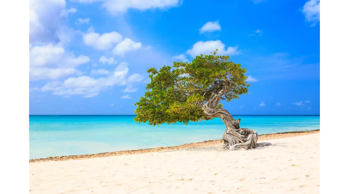 How Many Sq Miles Is Aruba