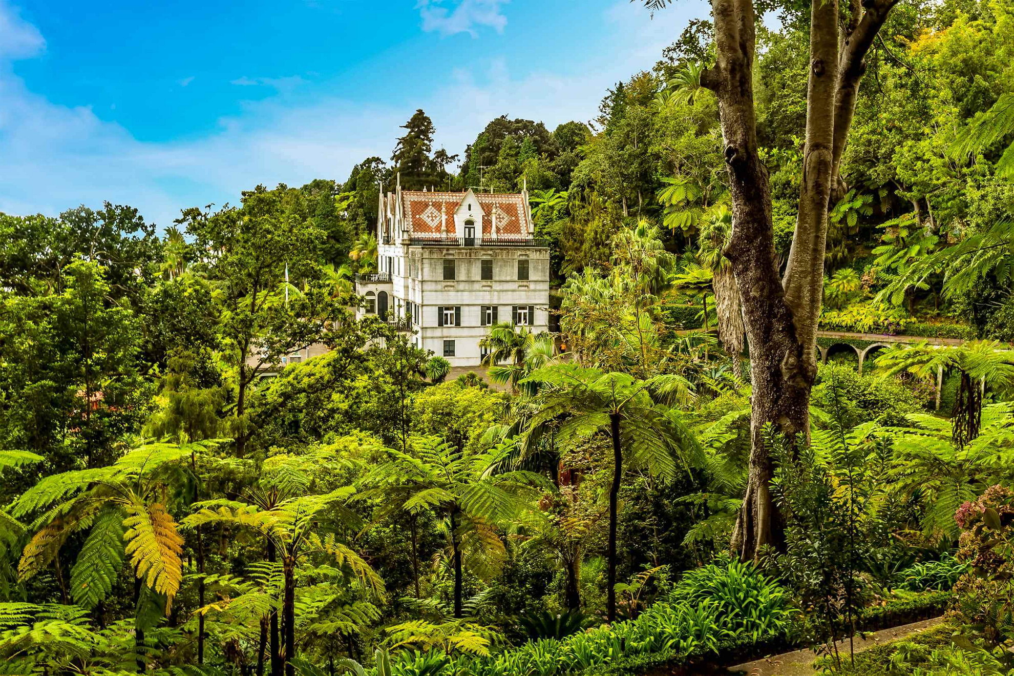 destinos 2026 funchal isla