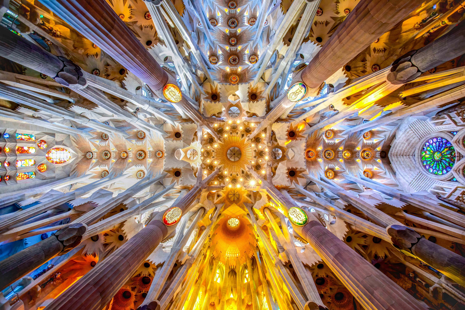 Gaudí Trail Barcelona: The view of the ceiling inside the Sagrada Familia from below