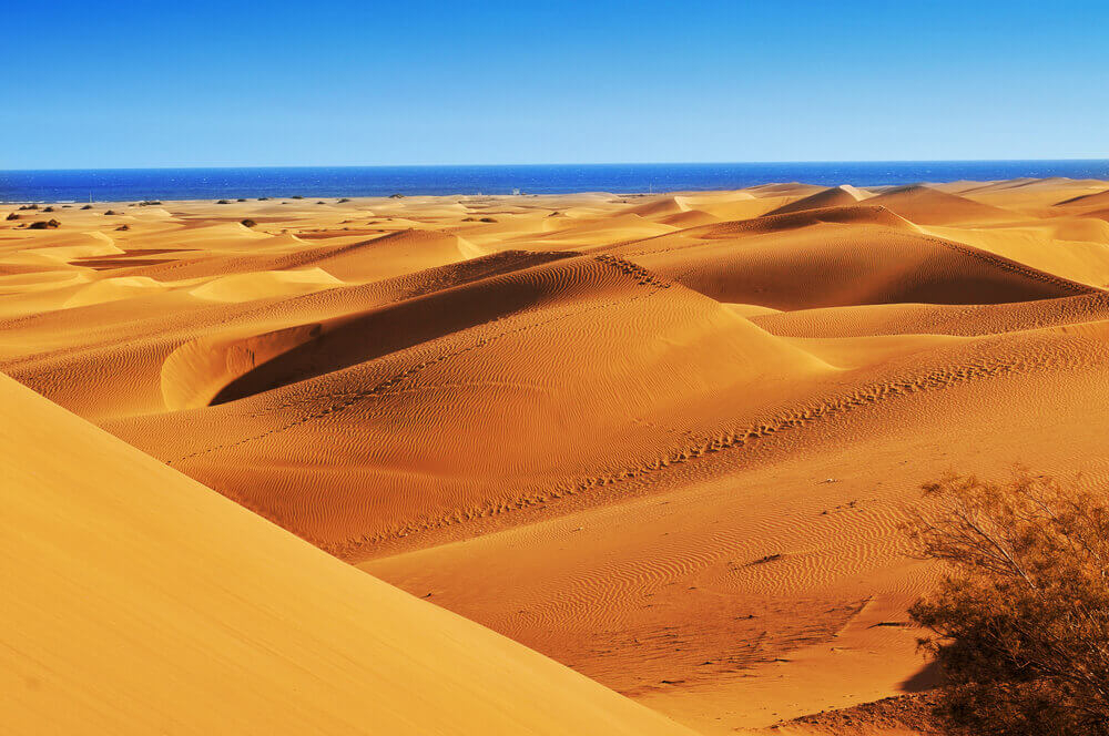 Ausflugsziele Gran Canaria: die goldenen Dünen von Maspalomas mit dem blauen Meer im Hintergrund.