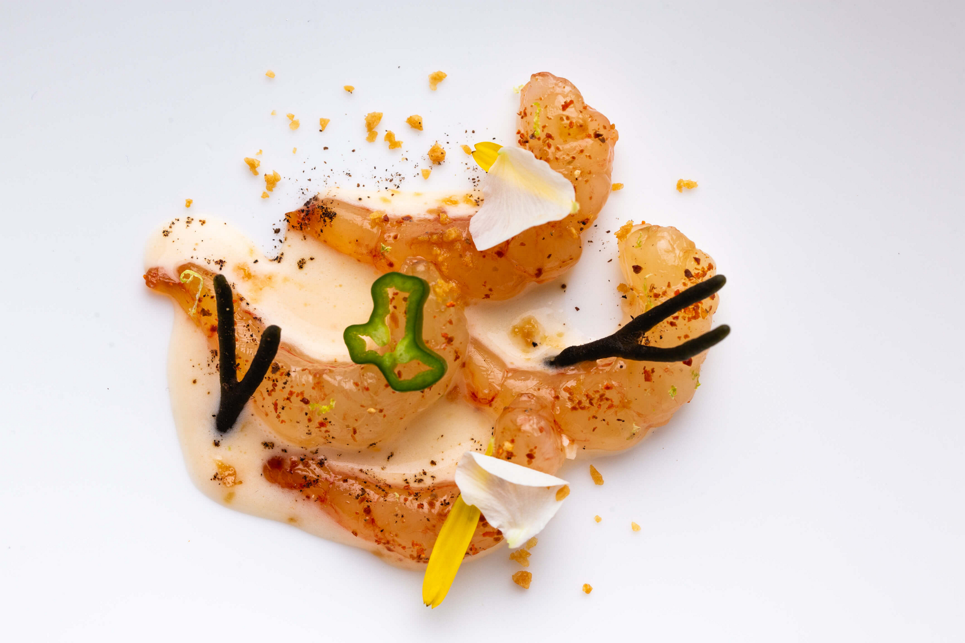 chefs estrella michelin hermanos padron