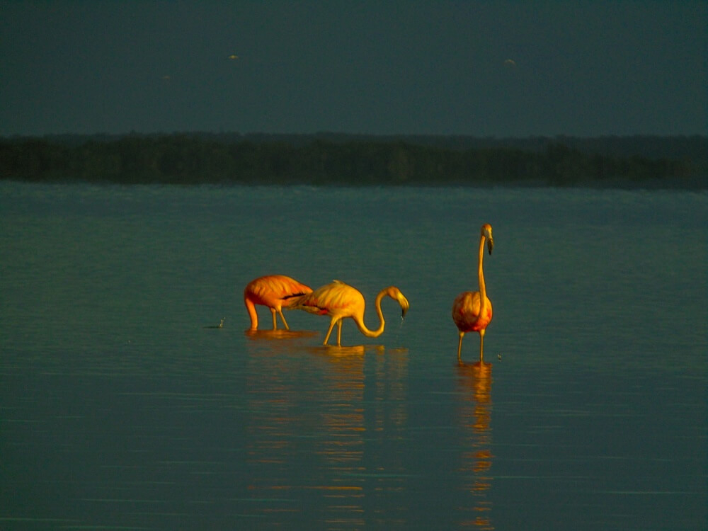  isla de Holbox