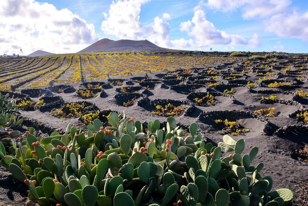 lanzarote con niños la geria