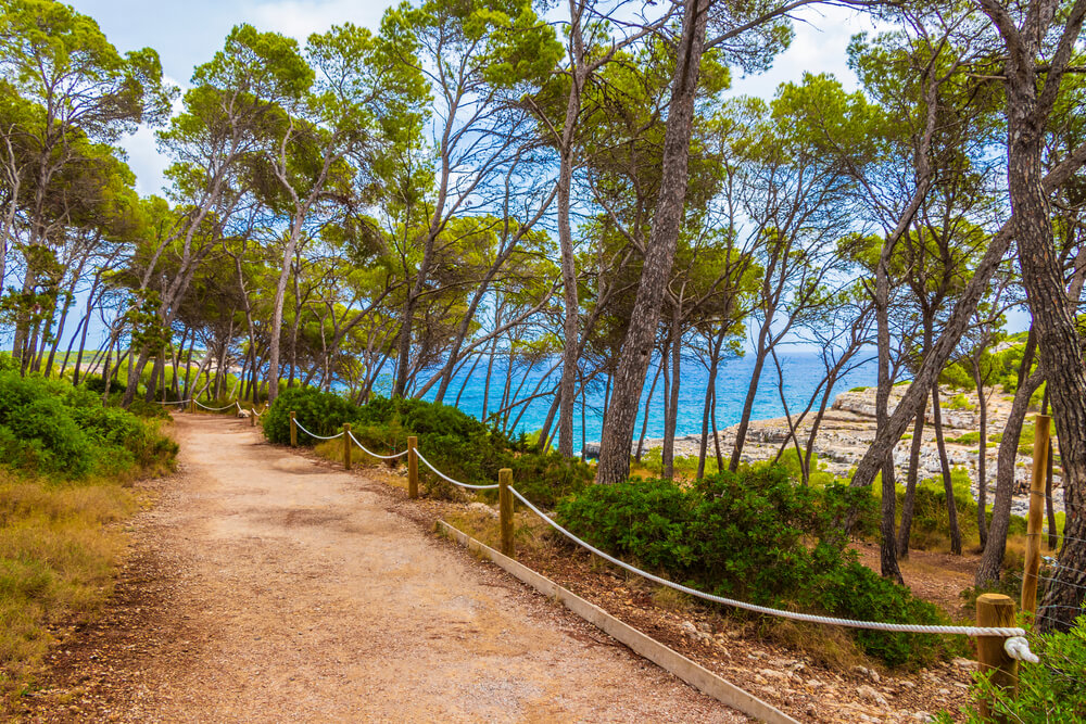 Der Parc Natural de Mondragó, ein schönes Ausflugsziel, wenn man Mallorca mit Kindern besucht