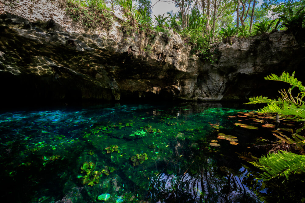 mejores cenotes mexico riviera maya