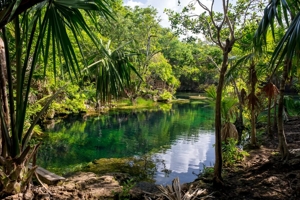 mejores cenotes mexico riviera maya