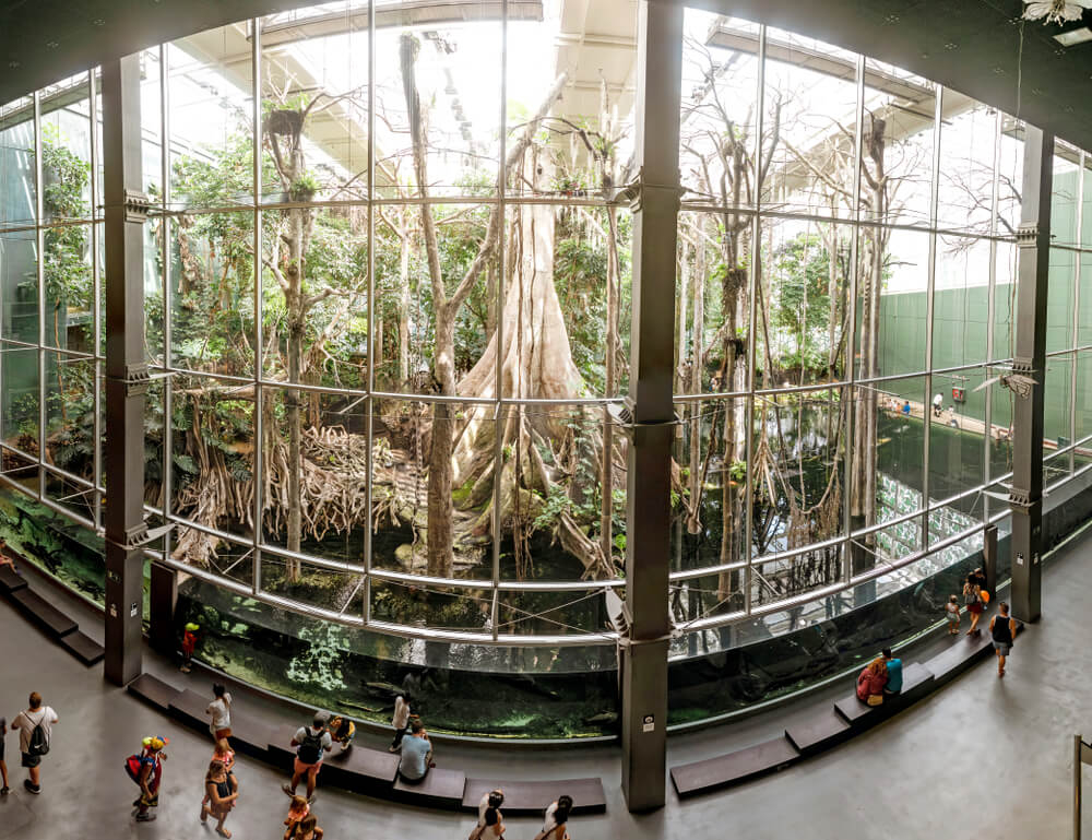 mejores museos barcelona
