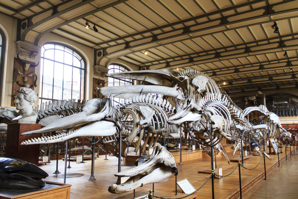 les meilleurs musées de Paris