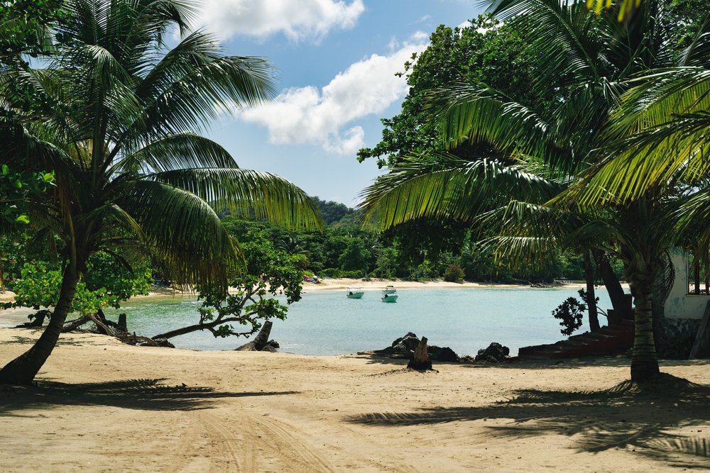 playas de republica dominicana